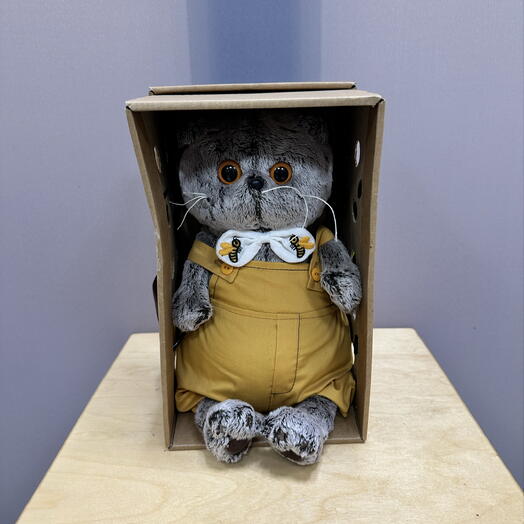 Кот Басик в комбинезоне