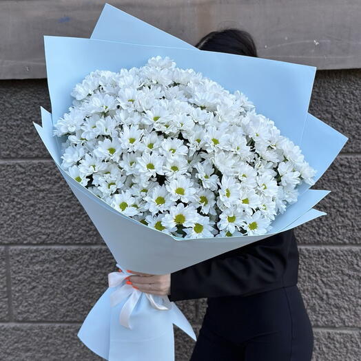 Ромашковое поле белое (большой)