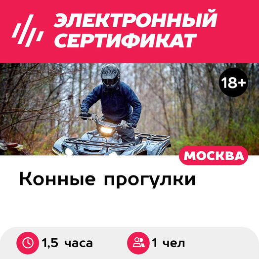 Подарочный сертификат Прогулка на лошади и катание на квадроцикле для 1 человека (1,5 часа)