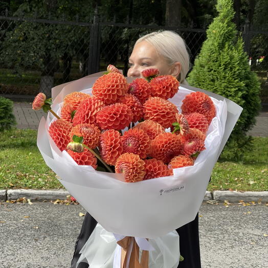 Георгины