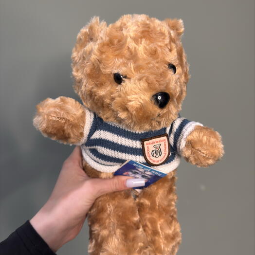 Игрушка собачка в футболке