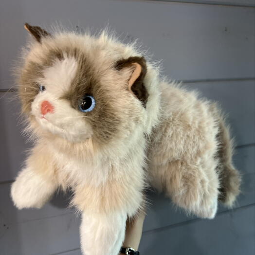 Игрушка мягкая котик