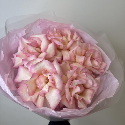 розовое облако 🌺bloom room