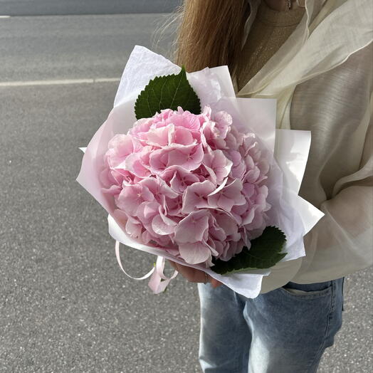 Гортензия в упаковке букет