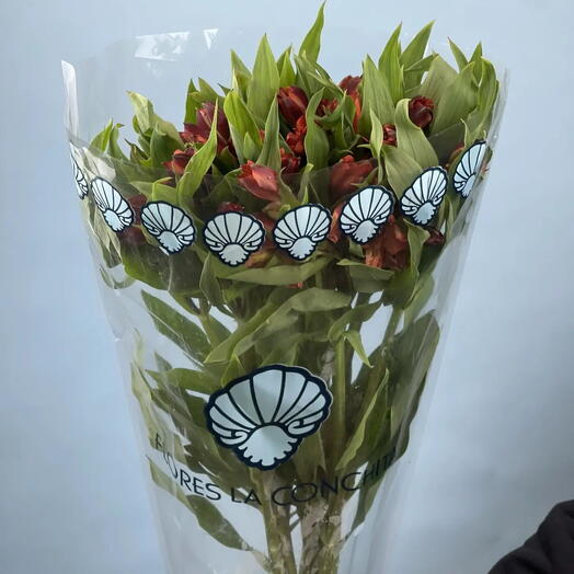 Пачка Альстромерия, 10 шт