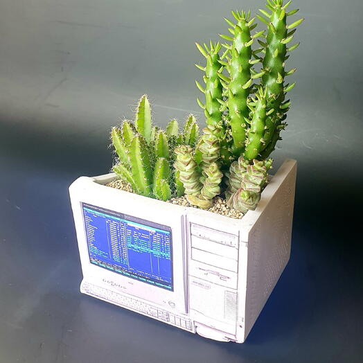 Florariumy v Voronezhe