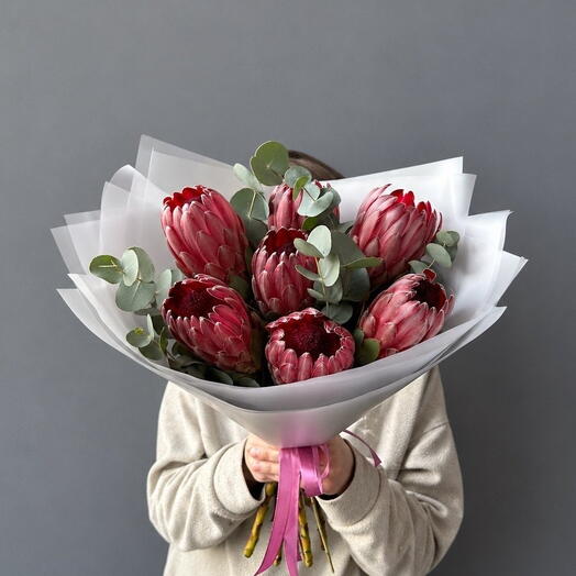 Протея с эвкалипт 7 шт🌹