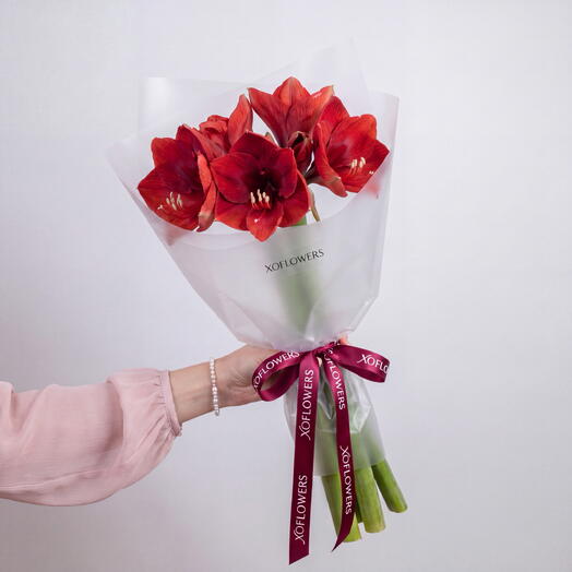 Букет «Моно-амариллис» от XOFLOWERS