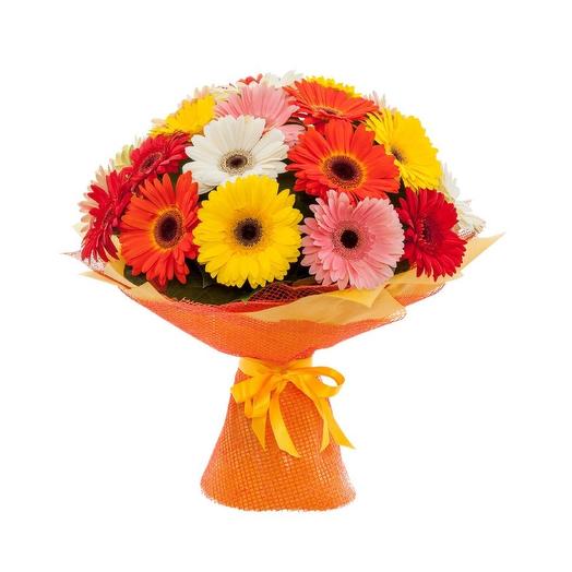 Girasol