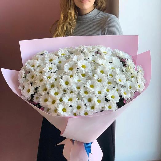 Bouquet of chrysanthemum "Chamomile summer"