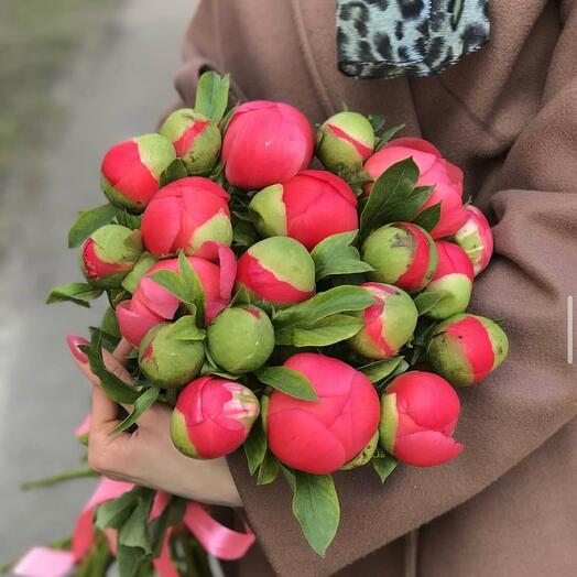 19 коралловых пионов