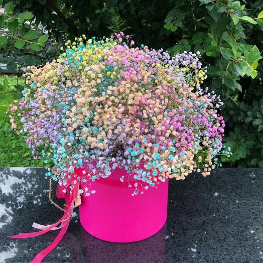 Gypsophila Rainbow Tamaño L
