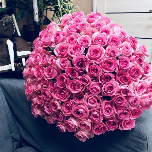101 pink roses