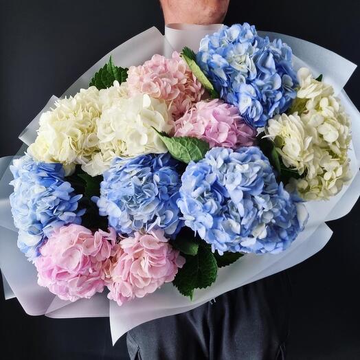 Mezcla de hortensias