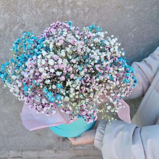 Caja del yeso del aire