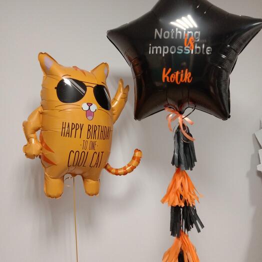 Cool cat Kit