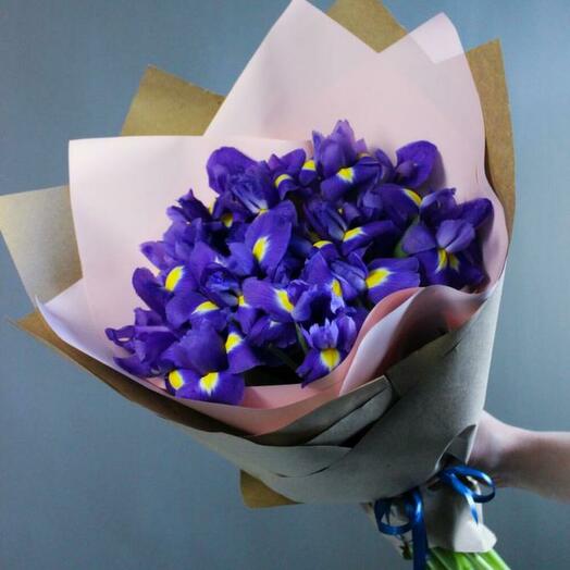21 iris