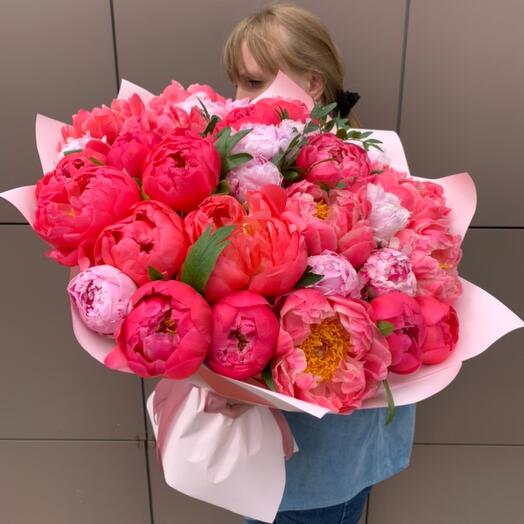 Коралловые пионы