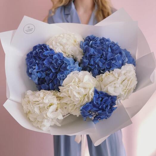 Bouquet of 7 hydrangeas "WHITE BLUE"