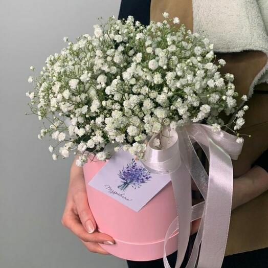 Aerial gypsophila in a box