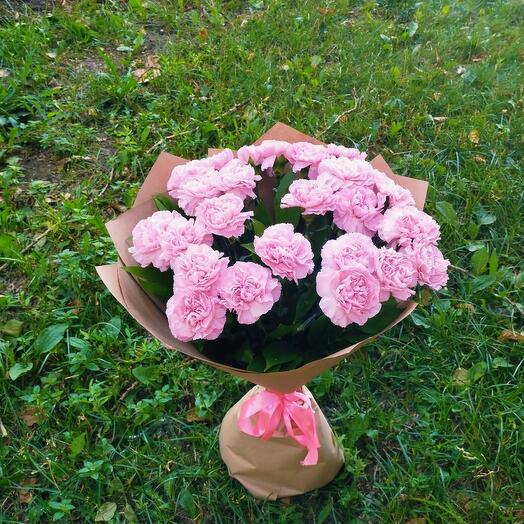 Нежные диантусы