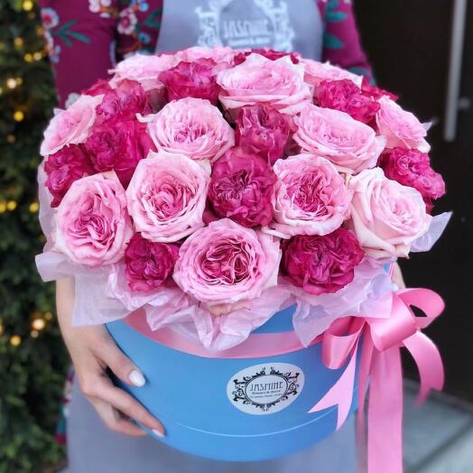 Rosas en forma de peonía en una Caja de sombrero