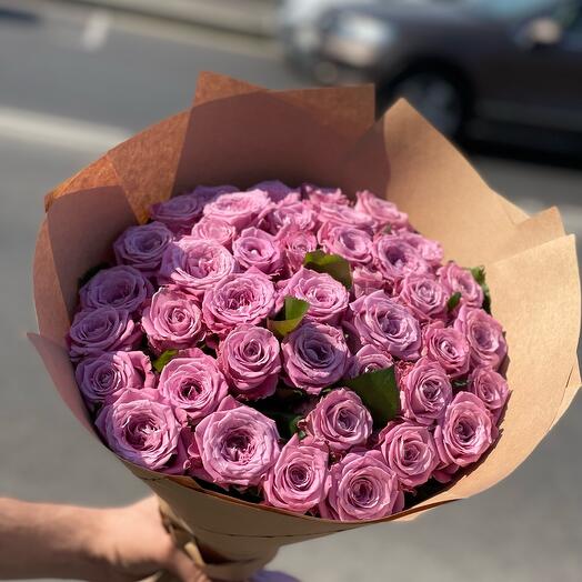 Rose meritim 51 pieces