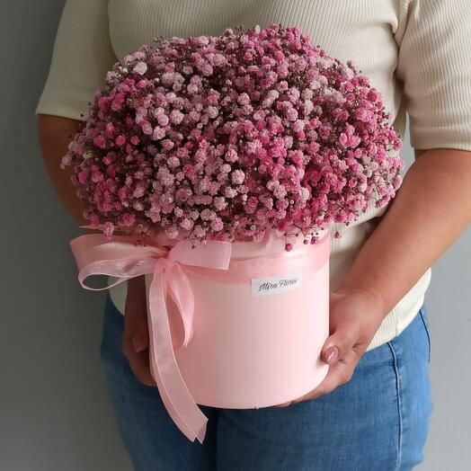 Composición de gypsophila rosa