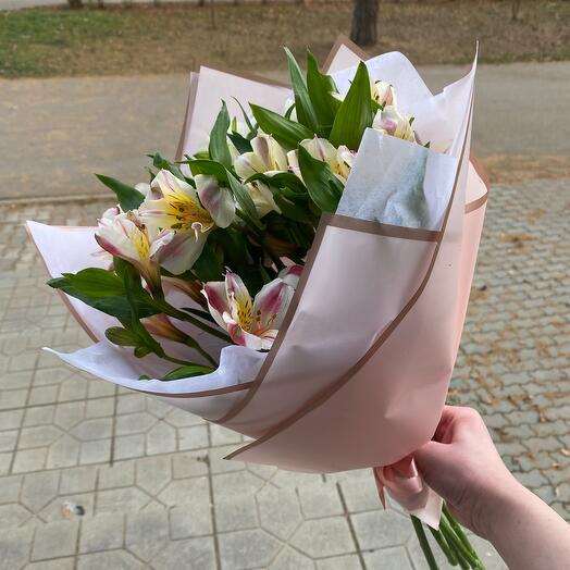 Alstroemeria