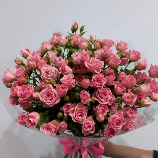 Bush rose