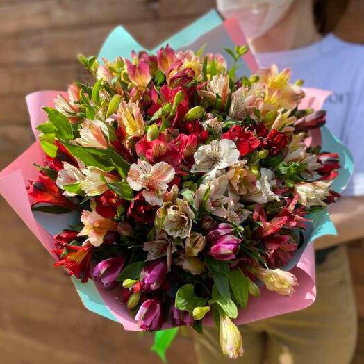 Alstroemeria mix