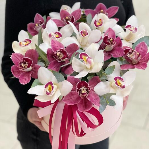 Тропические орхидеи в шляпной коробке 👑