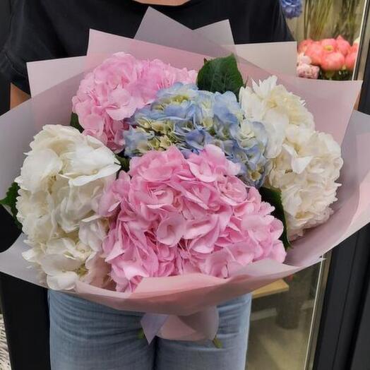 Hydrangea Mix