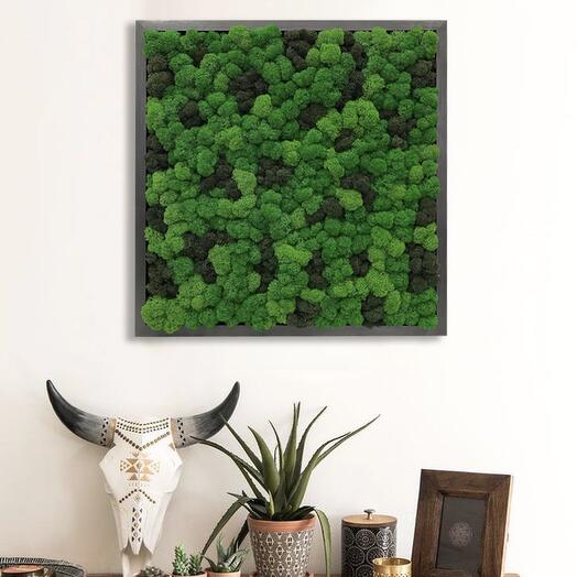 Interior painting "3 Yagels" made of stabilized moss in a gift box, 50*50 cm