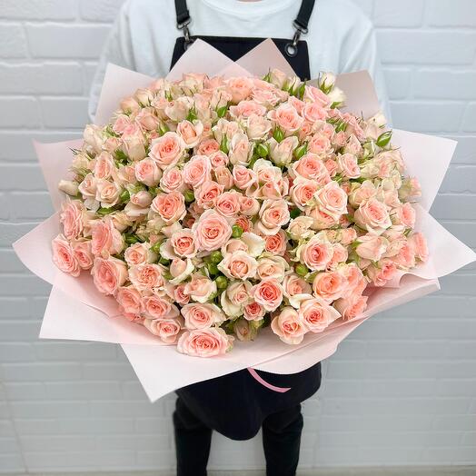 A bouquet of pale pink roses. Bush rose Lydia N1102