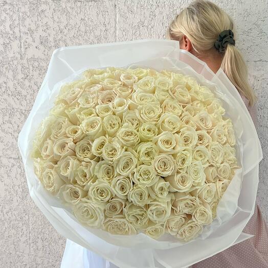 101 white roses