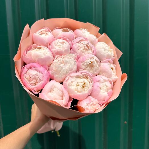Пионы розовые гардения 15 шт
