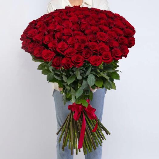 101 Roses of Ecuador