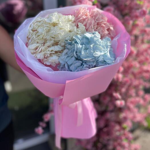 Нежные гортензии