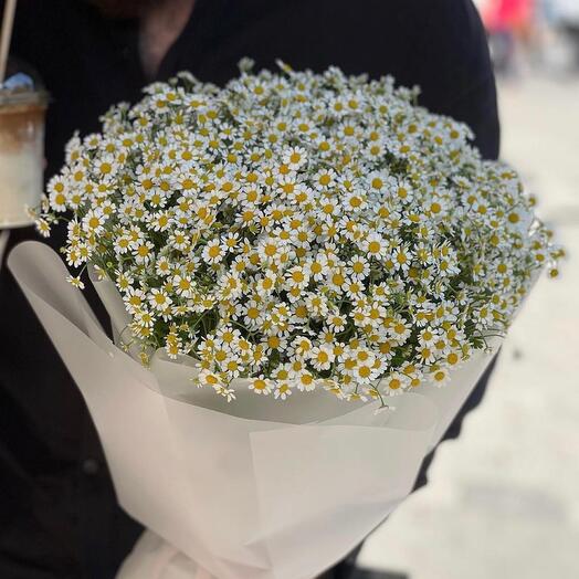 Ромашки