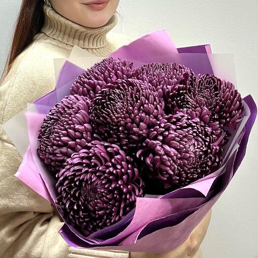 7 одноголовых хризантем винного цвета