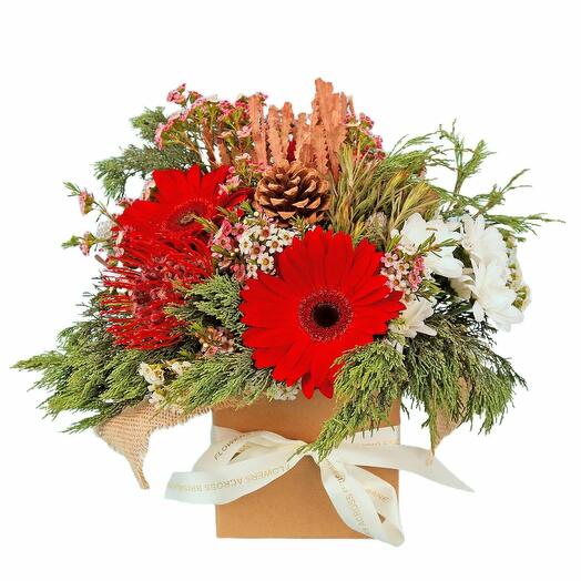 Christmas Natives Gift Box