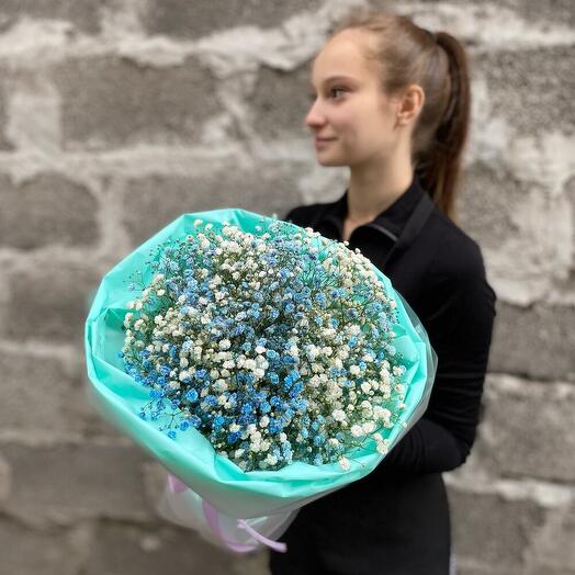 Кругляш с гипсофилой