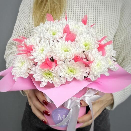 Crisantemo de arbusto con plumas Rosadas en una Caja