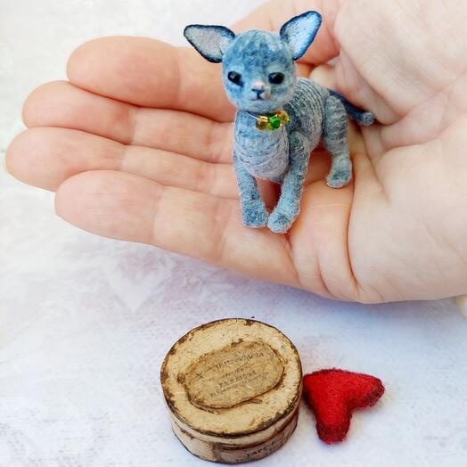 Котёнок сфинкс