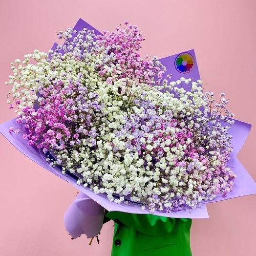 Bouquet of 15 gypsophila