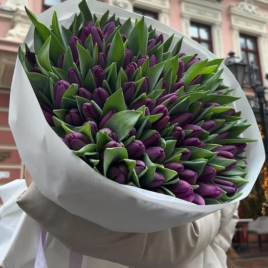 Фиолетовые  тюльпаны