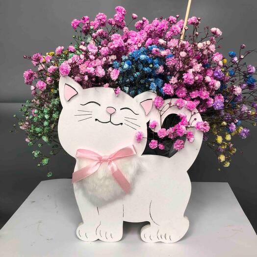 Kitty