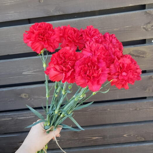 10 гвоздик
