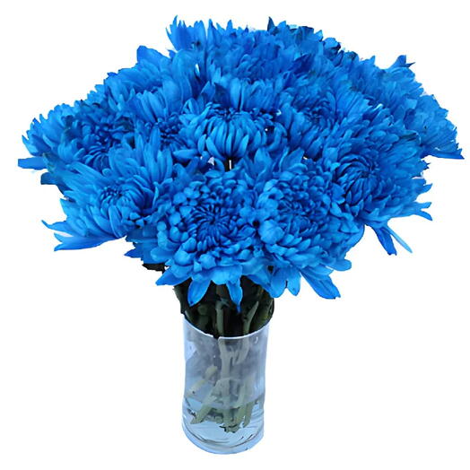 Royal Blue chrysanthemum Vase